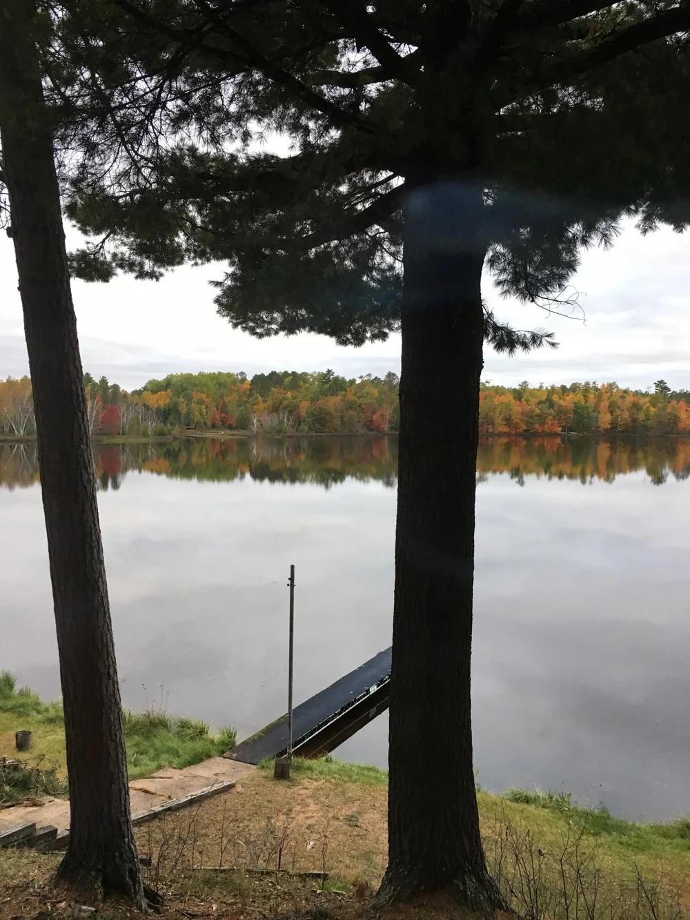Robinson Lake seen through tall pine trees