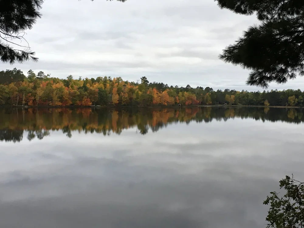 Autumn trees reflected in calm Robinson Lake